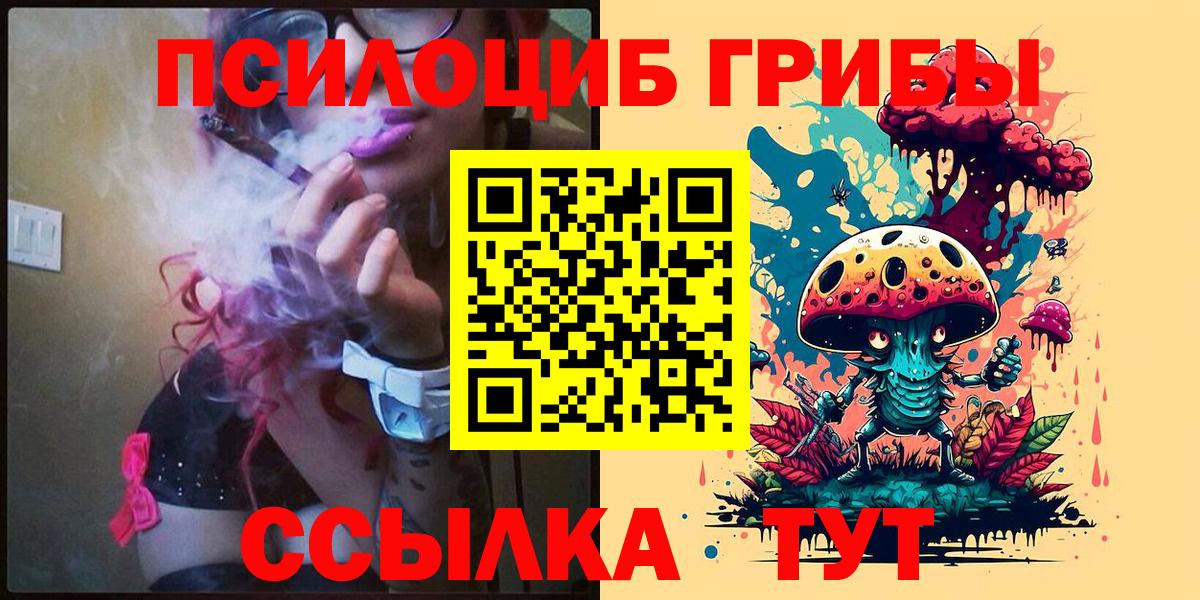 Галлюциногенные грибы прущие грибы  Вход с VPN  Дмитров 