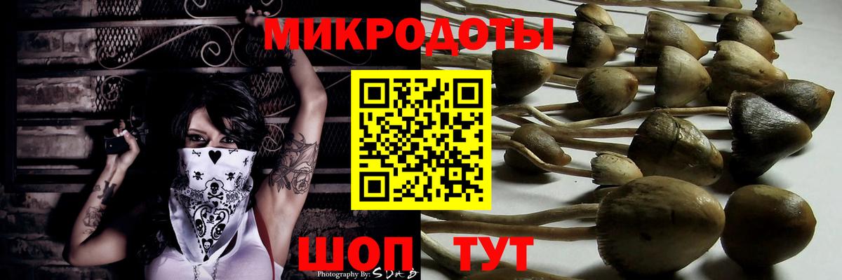 Галлюциногенные грибы Magic Shrooms Дмитров